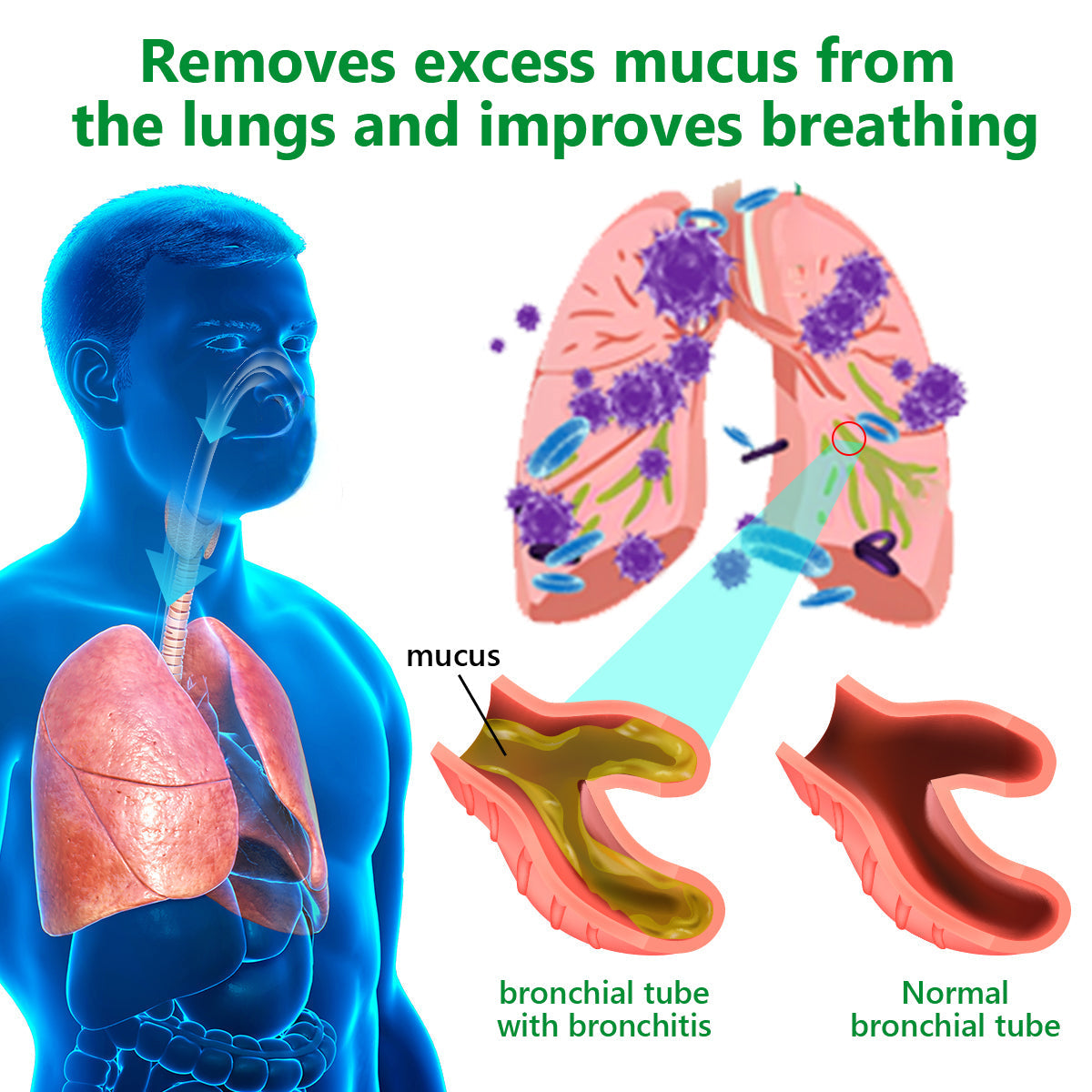 Official Store：LOVILDS™ Mullein Clear Lung Repair Cream 💥💥- endorsed by the British Thoracic Society to support lung health👑